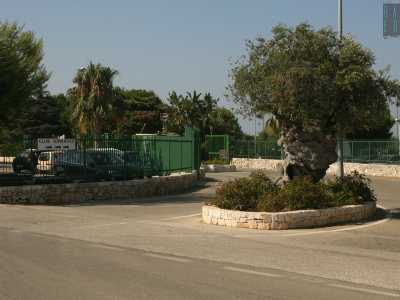 A questo punto lasciamo il sorvegliante e ci dirigiamo verso il villaggio attiguo: il �Club Adriatico�, la cui entrata � situata a 80 metri pi� a nord. Sappiamo di per certo che anche questo residence presenta una strada diretta alla famosa spiaggia. Chiediamo anche qui di passare, ma il custode ci risponde: �S� il mare � di tutti, ma da qui possono transitare solo i soci o al massimo gli amici dei soci, perch� � un centro privato�